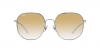 RB3675 Sunglasses
