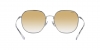 RB3675 Sunglasses