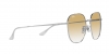 RB3675 Sunglasses