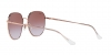 RB3680D Sunglasses