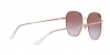 RB3680D Sunglasses