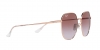 RB3680D Sunglasses