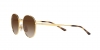 RB3681 Sunglasses