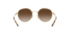 RB3681 Sunglasses