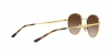 RB3681 Sunglasses