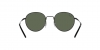 RB3681 Sunglasses