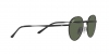 RB3681 Sunglasses