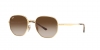 RB3681 Sunglasses