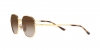 RB3681 Sunglasses