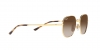RB3681 Sunglasses