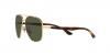 RB3683 Sunglasses