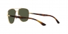 RB3683 Sunglasses