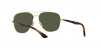 RB3683 Sunglasses