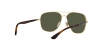 RB3683 Sunglasses