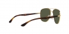 RB3683 Sunglasses
