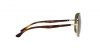 RB3683 Sunglasses