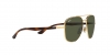 RB3683 Sunglasses