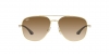 RB3683 Sunglasses