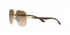 RB3683 Sunglasses