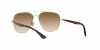 RB3683 Sunglasses