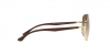 RB3683 Sunglasses