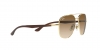 RB3683 Sunglasses