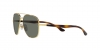 RB3683 Sunglasses