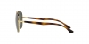 RB3683 Sunglasses
