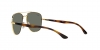 RB3683 Sunglasses