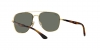 RB3683 Sunglasses