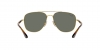 RB3683 Sunglasses