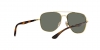 RB3683 Sunglasses