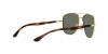 RB3683 Sunglasses