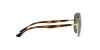 RB3683 Sunglasses