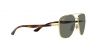 RB3683 Sunglasses