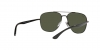 RB3683 Sunglasses
