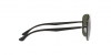 RB3683 Sunglasses