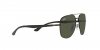 RB3683 Sunglasses