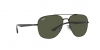 RB3683 Sunglasses