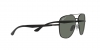 RB3683 Sunglasses