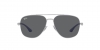 RB3683 Sunglasses