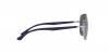 RB3683 Sunglasses