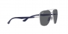 RB3683 Sunglasses
