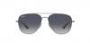 RB3683 Sunglasses