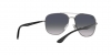 RB3683 Sunglasses