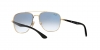 RB3683 Sunglasses
