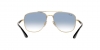 RB3683 Sunglasses