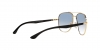 RB3683 Sunglasses