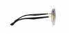 RB3683 Sunglasses