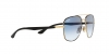 RB3683 Sunglasses